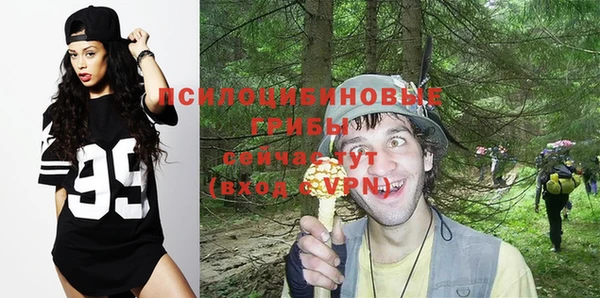 тгк Магадан