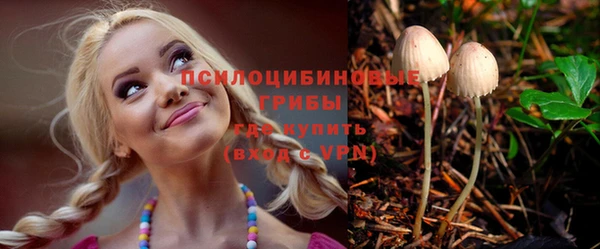 тгк Магадан