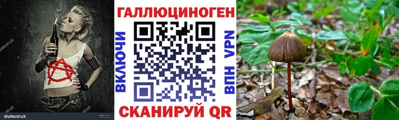 darknet Telegram  Тотьма  Галлюциногенные грибы мухоморы  blacksprut ONION 