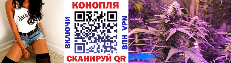 купить сайты Тотьма mega сайт Конопля семена